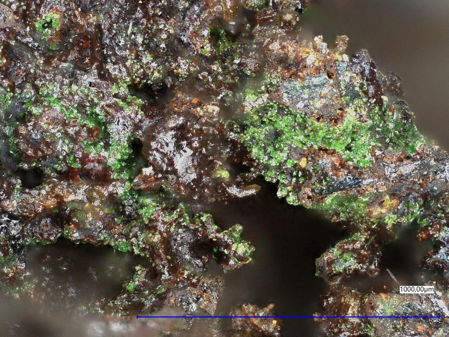 Favreauit El Dragon, Antonio Quijarro Prov., Potosi, Bolivien