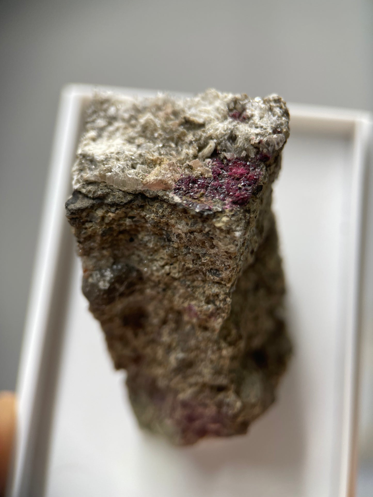 Dzharkenite & Ferroselite