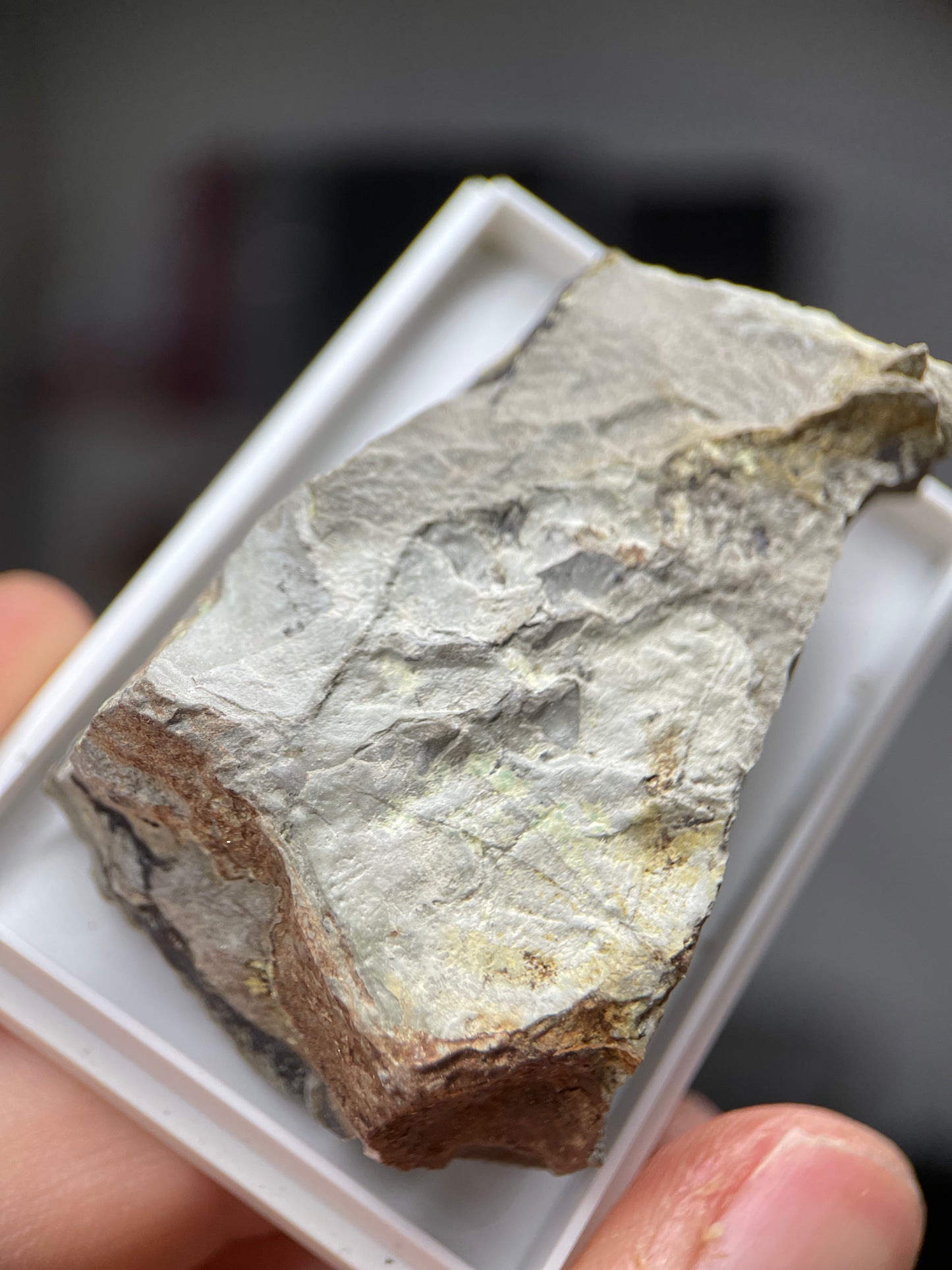 Abernathyite