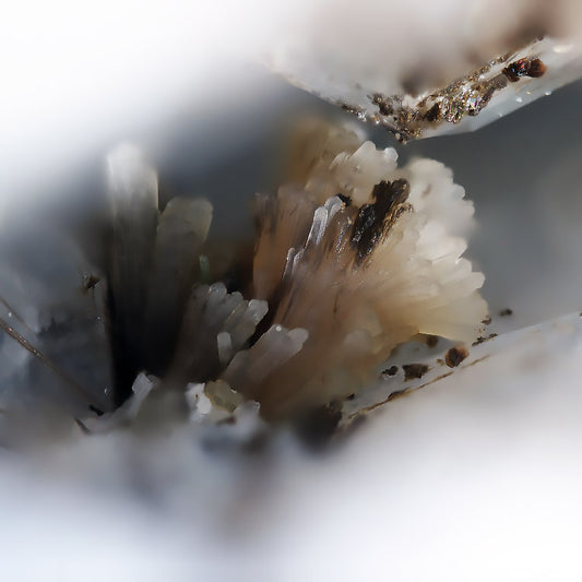 Ancylite-Ce