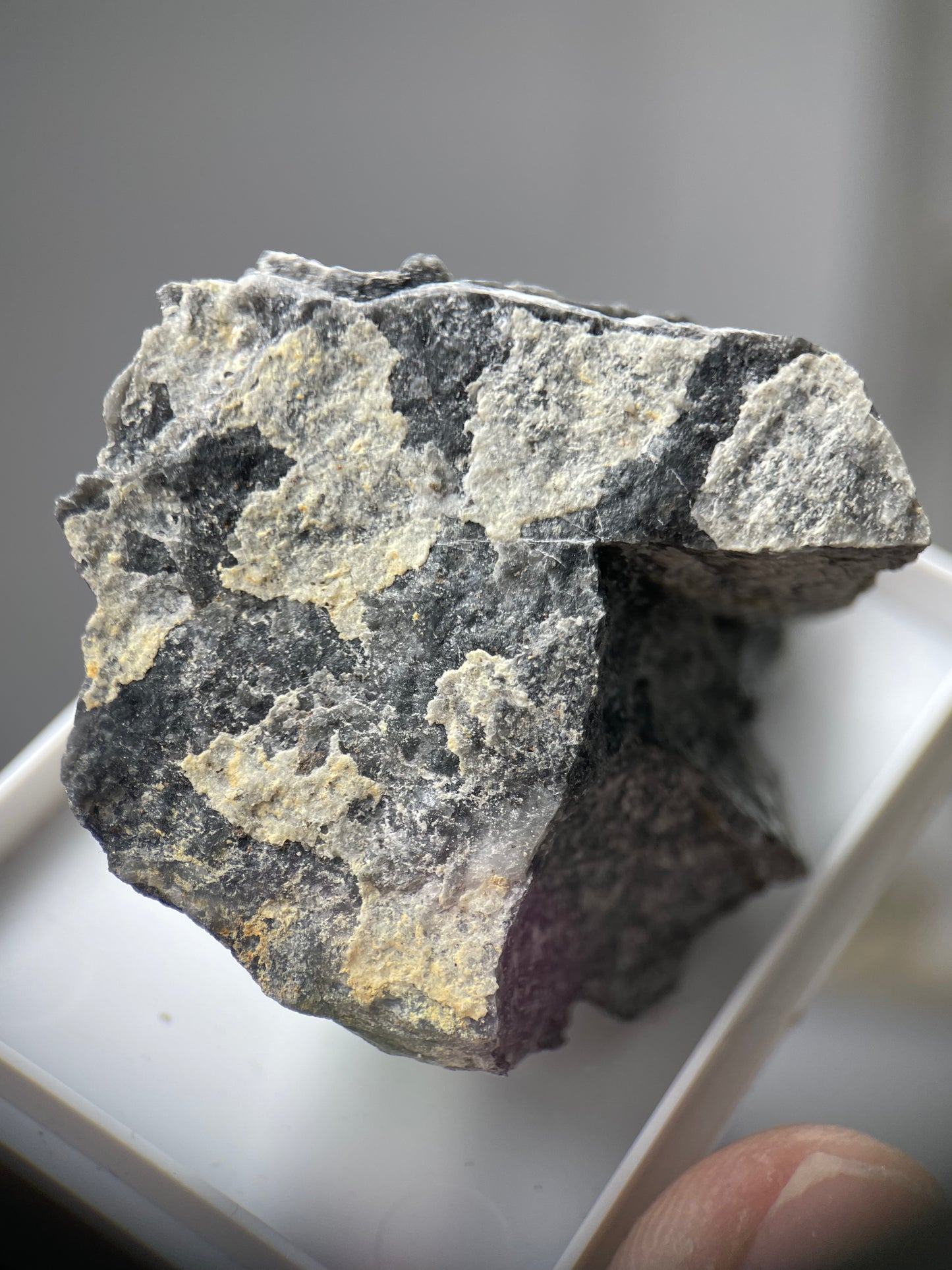 Brandholzite