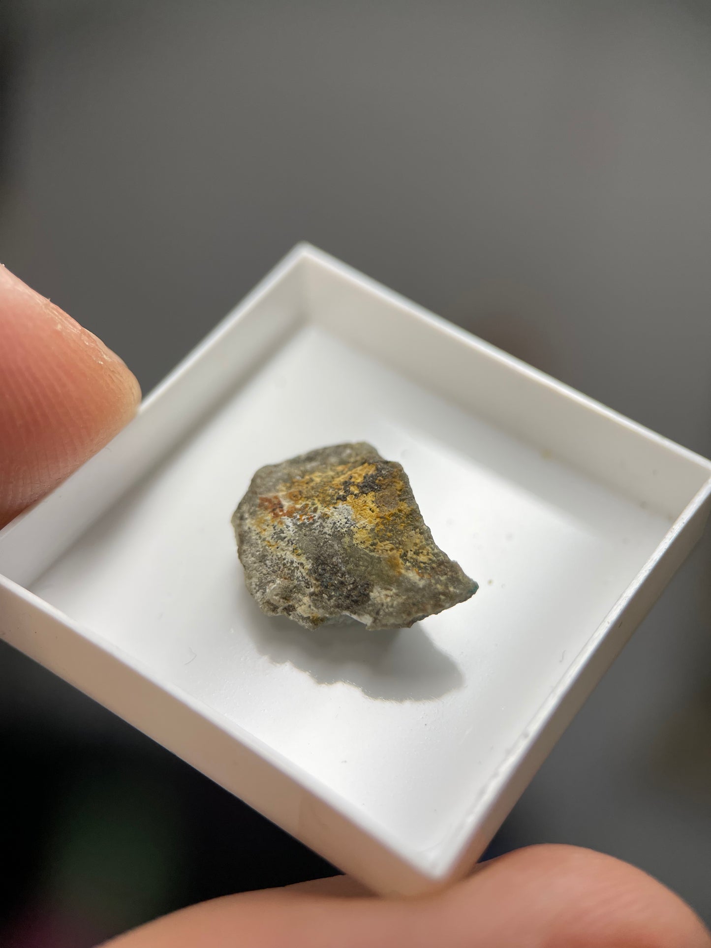 Alfredopetrovite