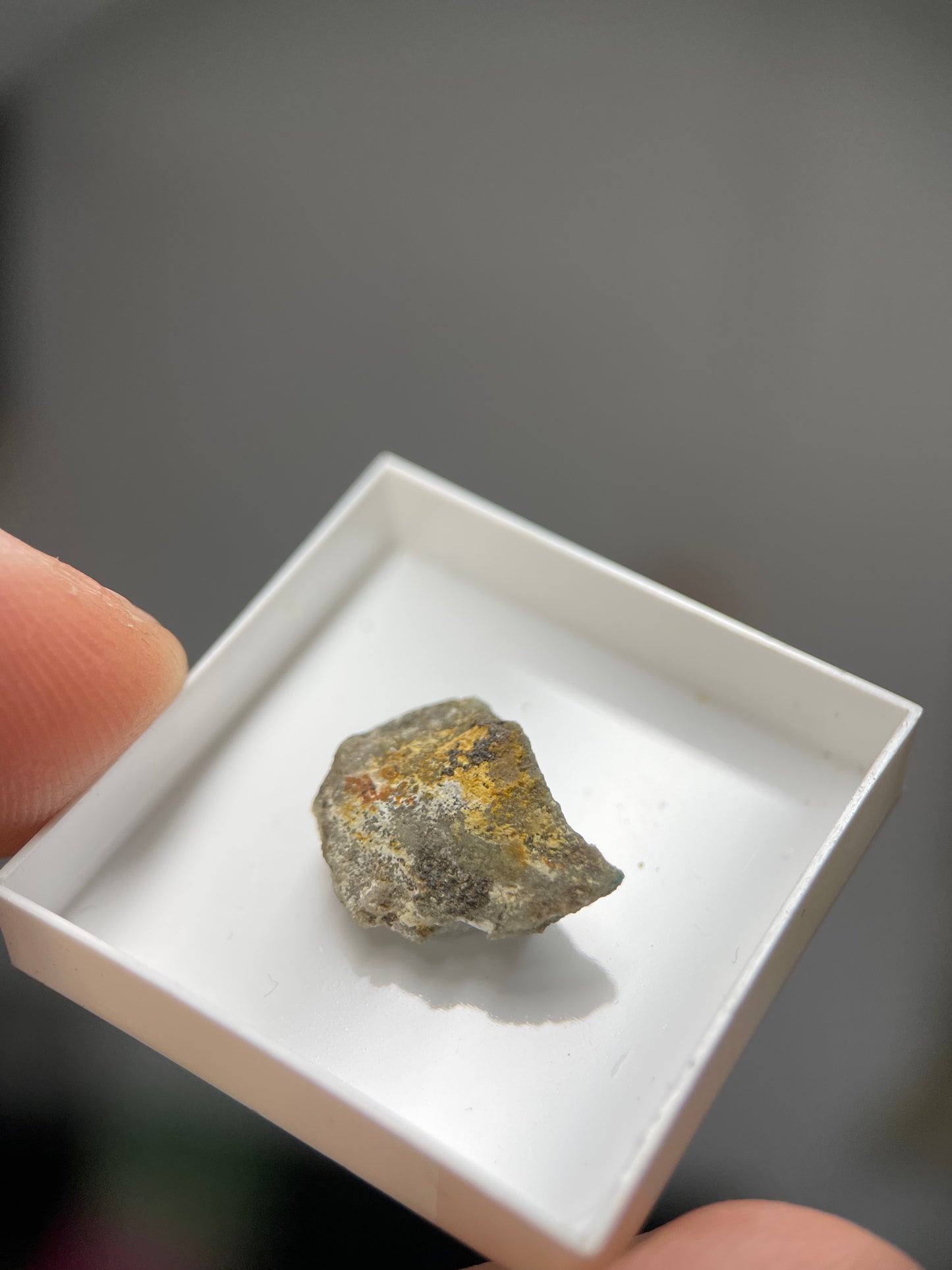 Alfredopetrovite