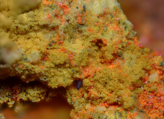 Dorallcharite