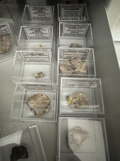 Chekhovichite
