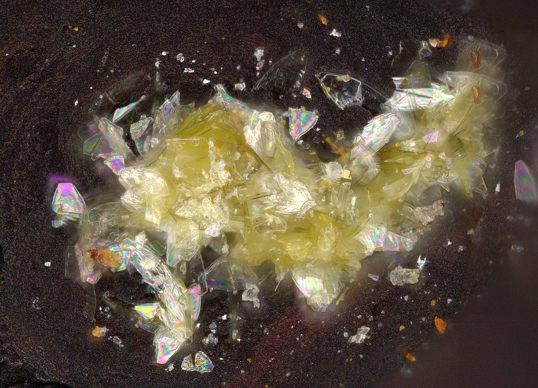 Schmitterite