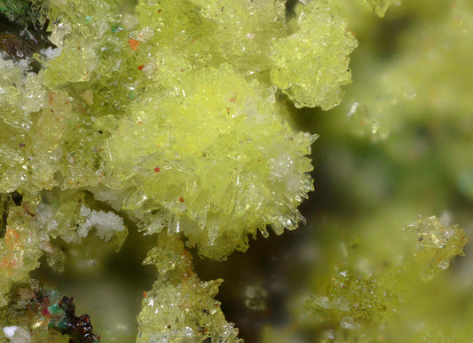 Bayleyite