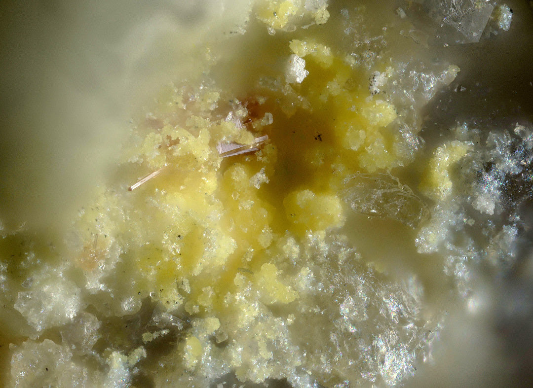 Chekhovichite