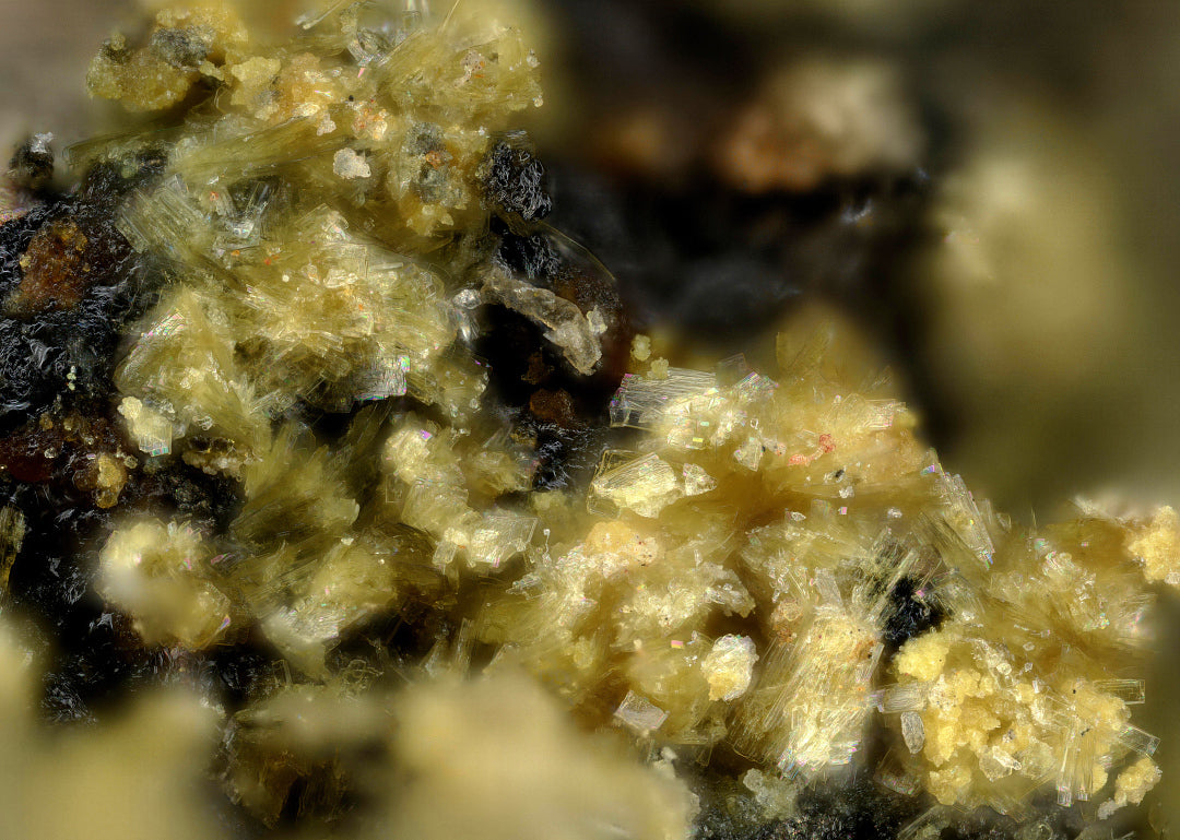 Deliensite & Metasaleeite