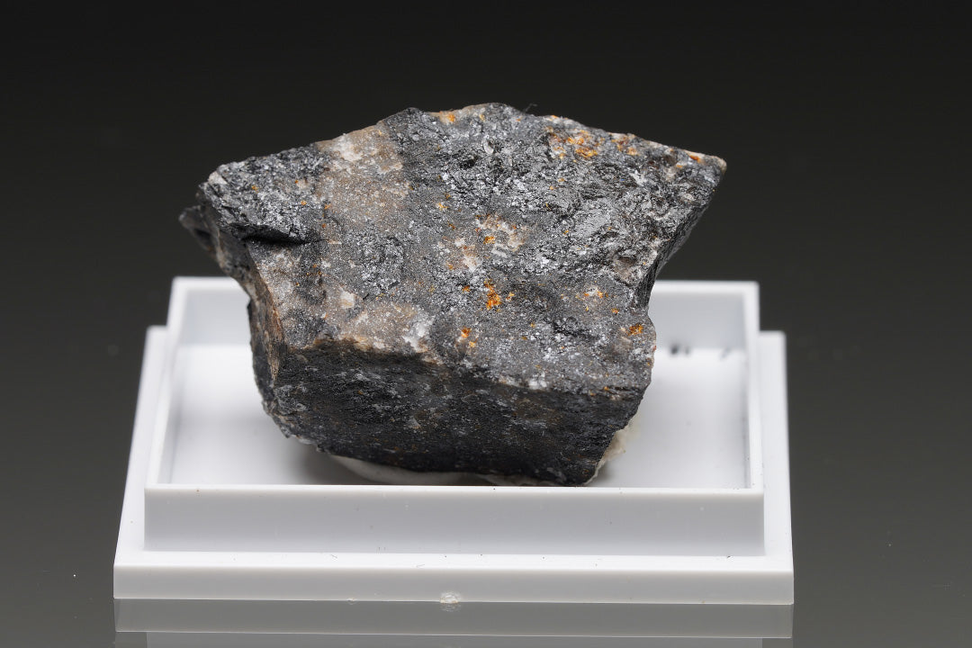 Scheuchzerite