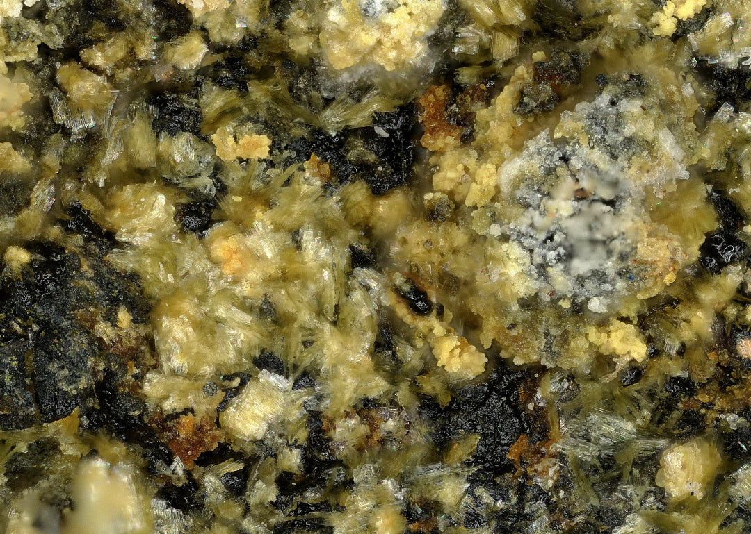 Deliensite & Metasaleeite