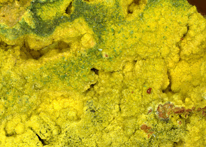 Renardite