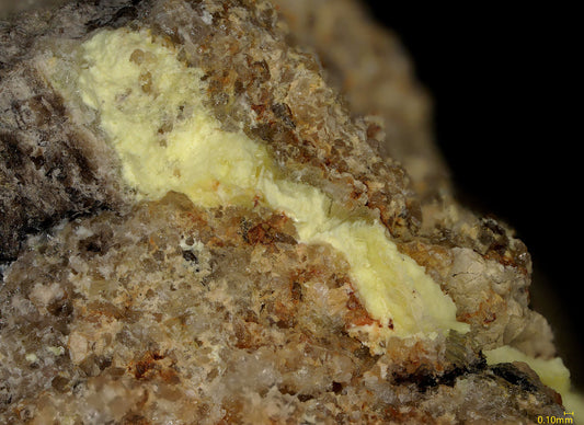 Coconinoite