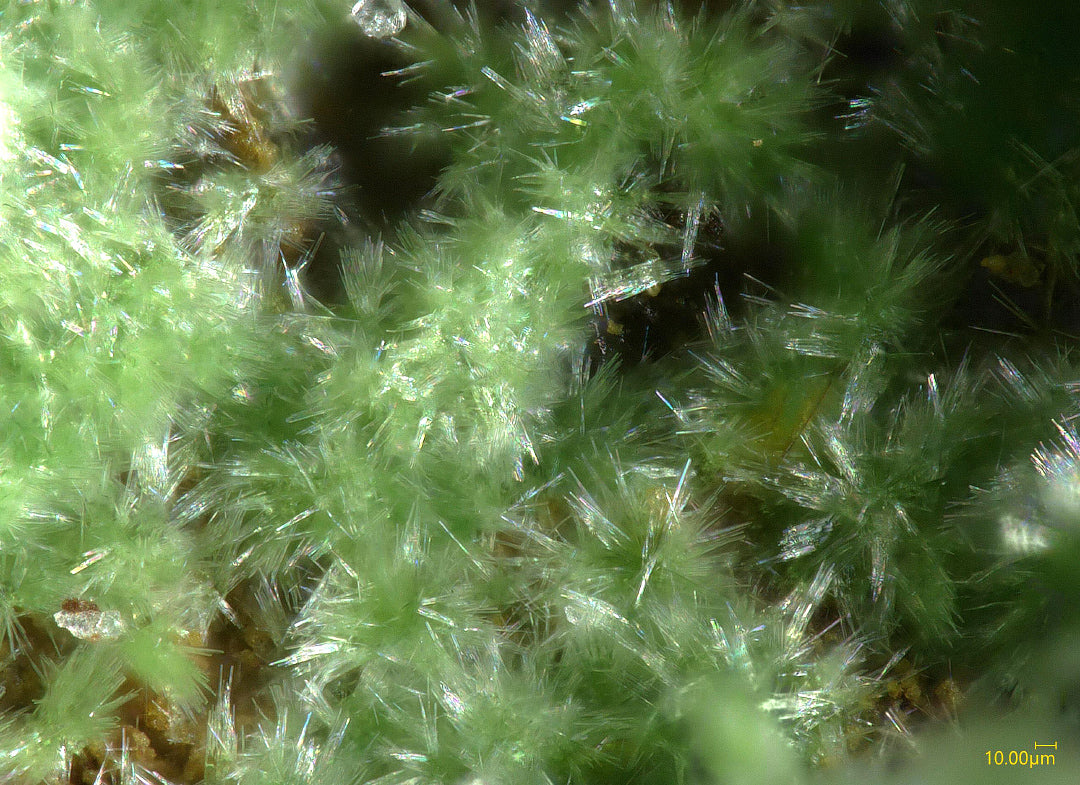 Creaseyite