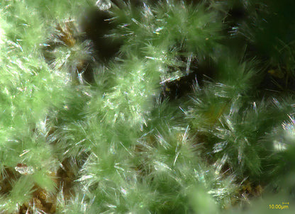 Creaseyite