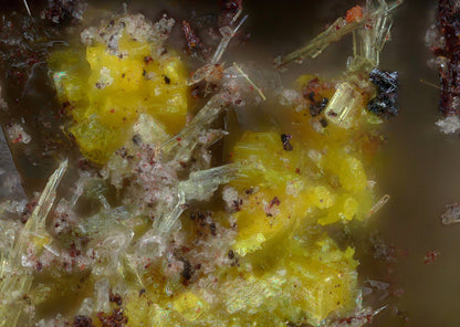 Spanoite / Tl Carnotite