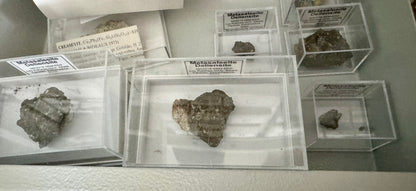 Deliensite & Metasaleeite