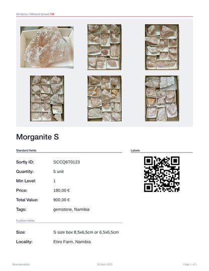 Morganite S-size