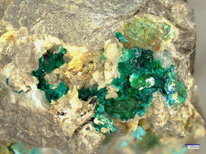 Tangdanit La Amorosa mine,  Villahermosa del Rio, Castellón, Spanien