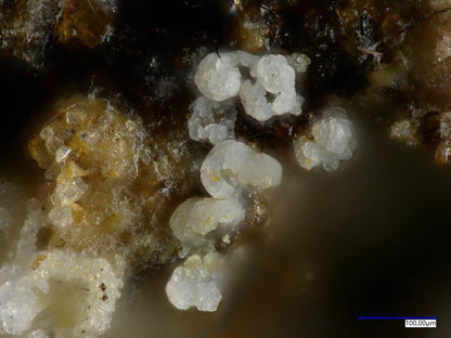 Gearksutite from the Uranus mine, Kleinrückerswalde, Saxony, Germany