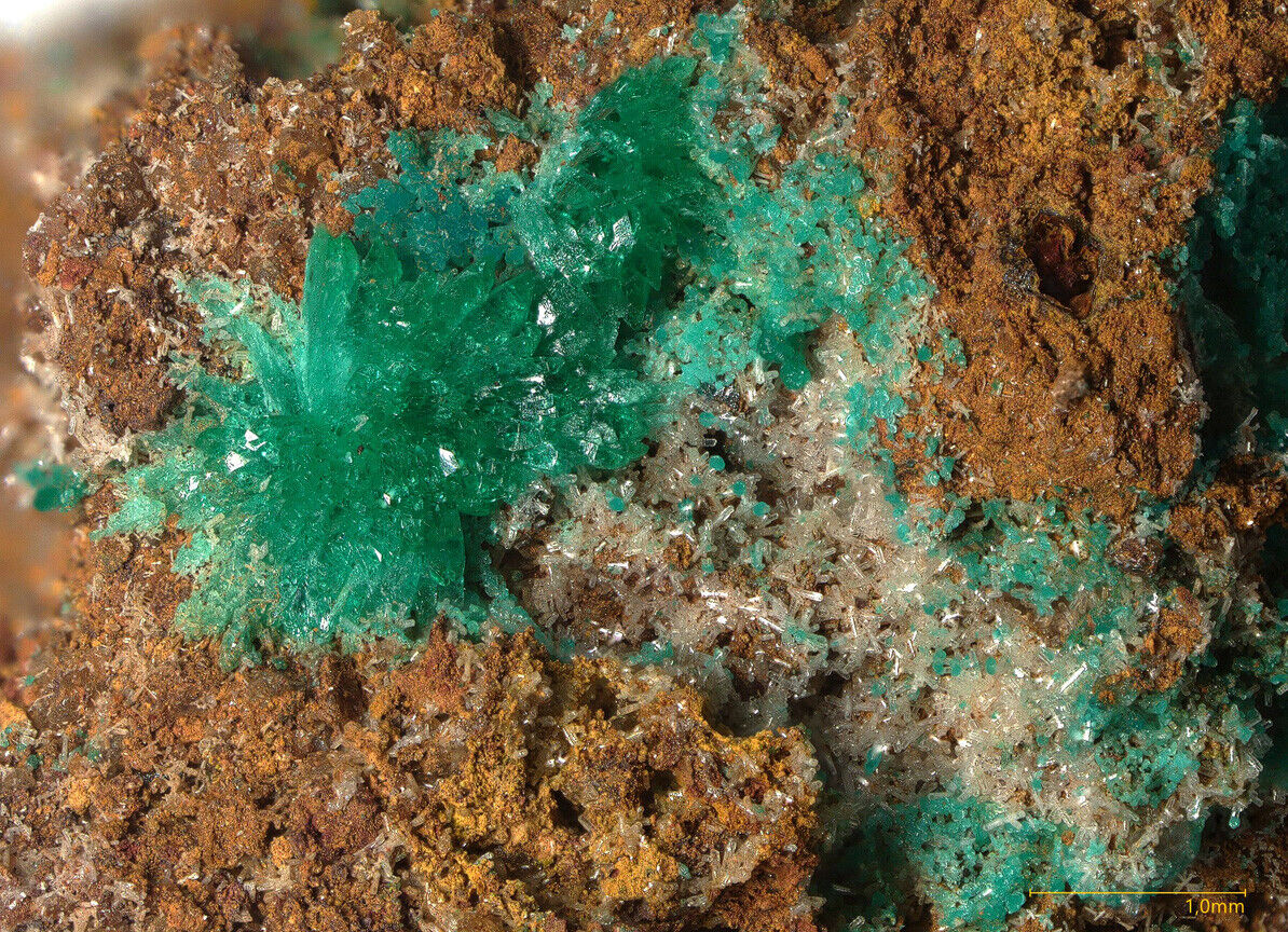 Kipushite & Philipsburgite - type locality - Kipushi, Katanga, DR Congo