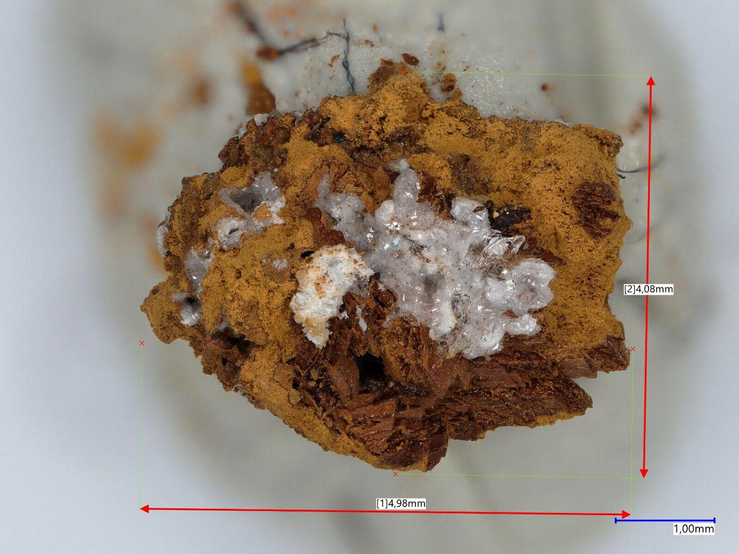 Uklonskovite & Caracolite La Compania mine, Sierra Gorda, Antofagasta, Chile EDX