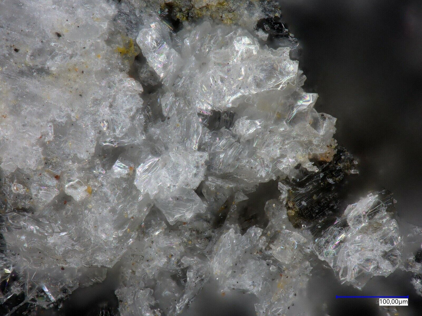 Cuatrocapaite-NH4, Torrecillas mine, Iquique, Chille ; EDX analysed