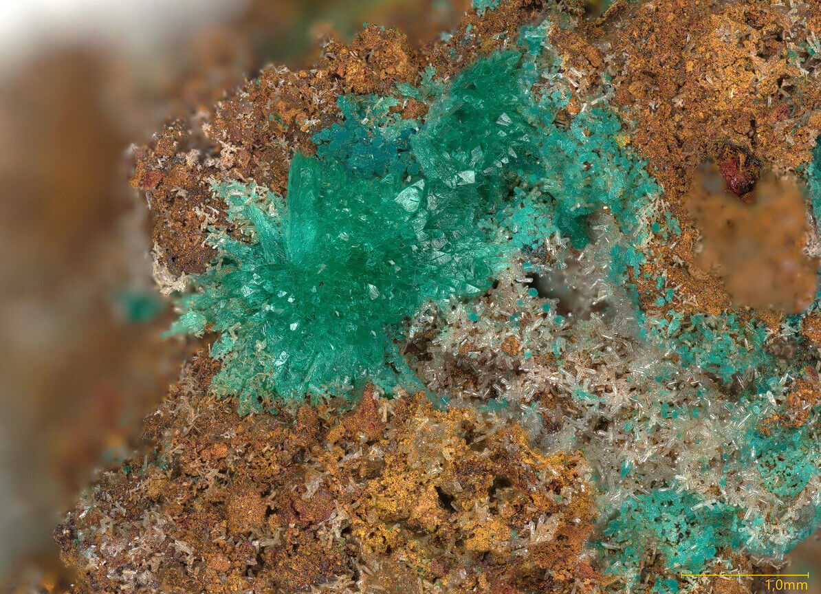 Kipushite & Philipsburgite - type locality - Kipushi, Katanga, DR Congo