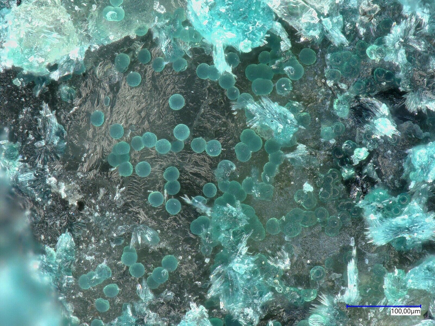 Gerhardtite Dzhezhkazgan district, Karaganda Region, Kazakhstan