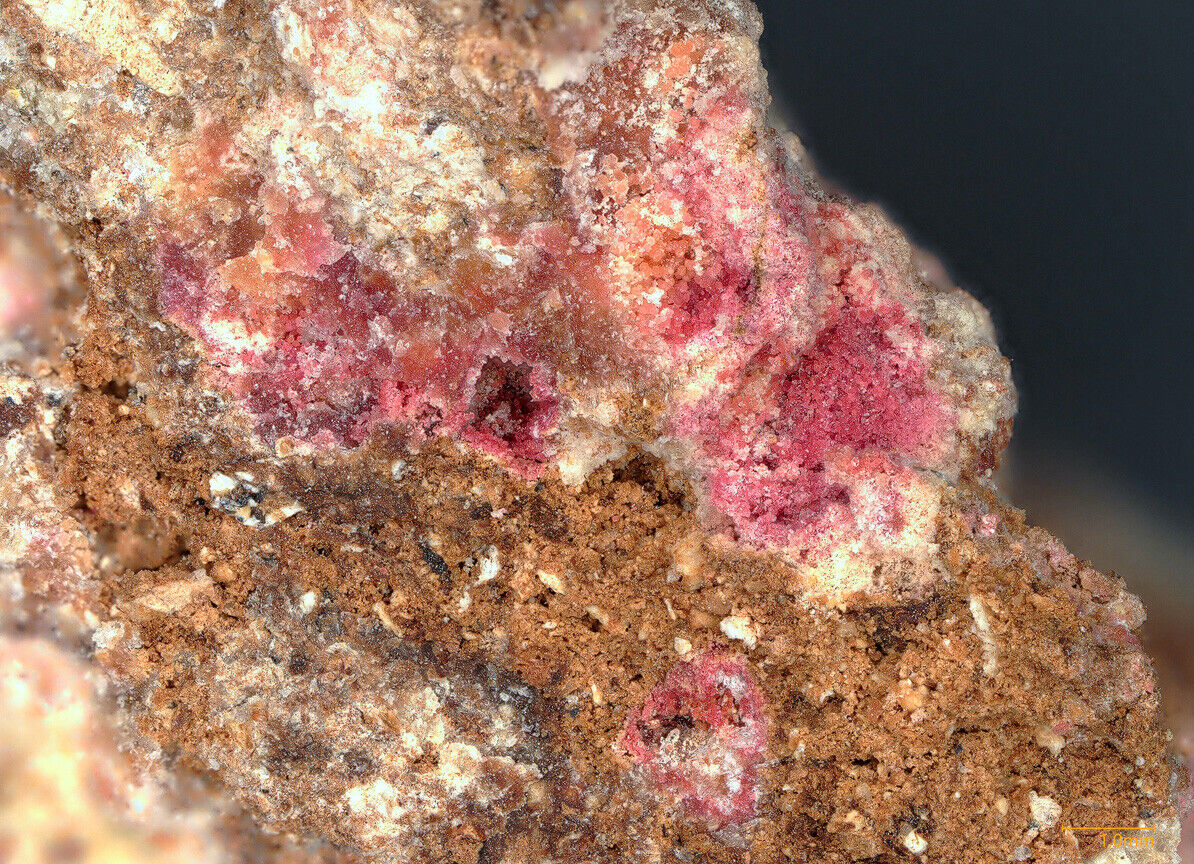 Ammoniotinsleyite Pabellón de Pica, Chanabaya, Chile - type material
