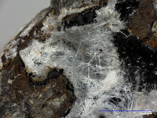 Tavagnascoite Esmoraca District, Lipez Prov., Potosi, Bolivia