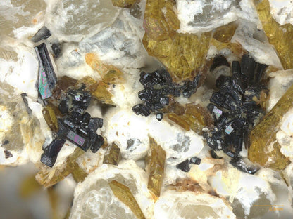 Priderite & Aegirine-Augite Graulay, Hillesheim, Eifel Mts., Germany