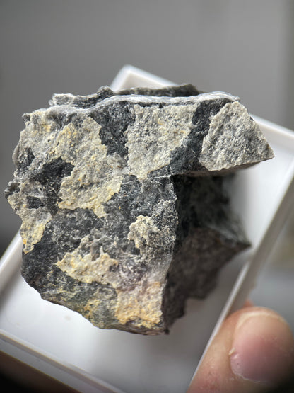 Brandholzite